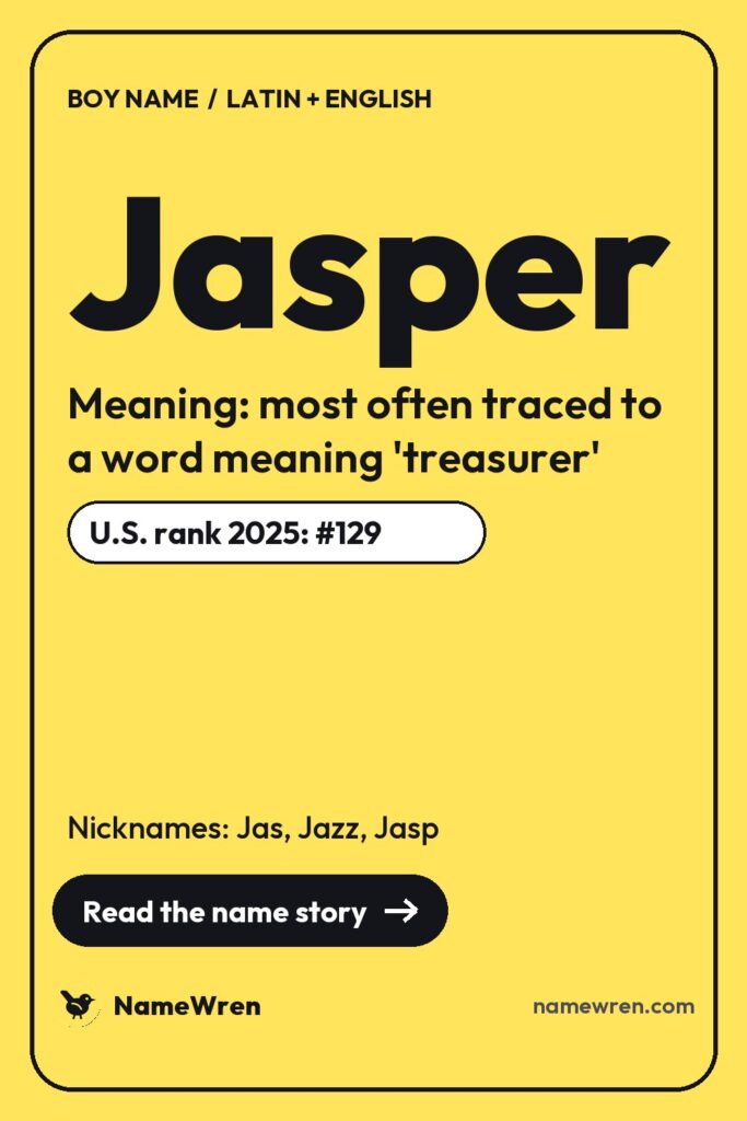 Jasper pin